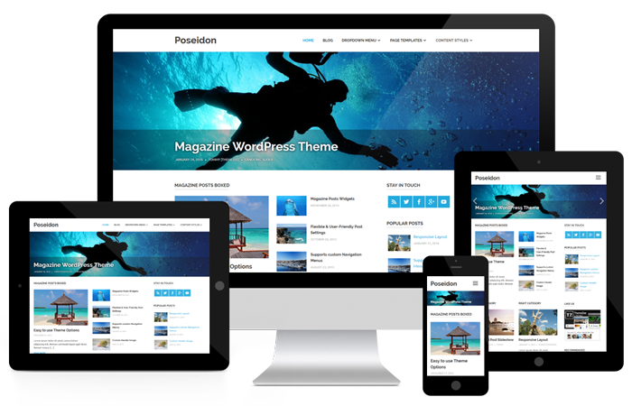 We will host & install a Wordpress website (+ Free SSL)