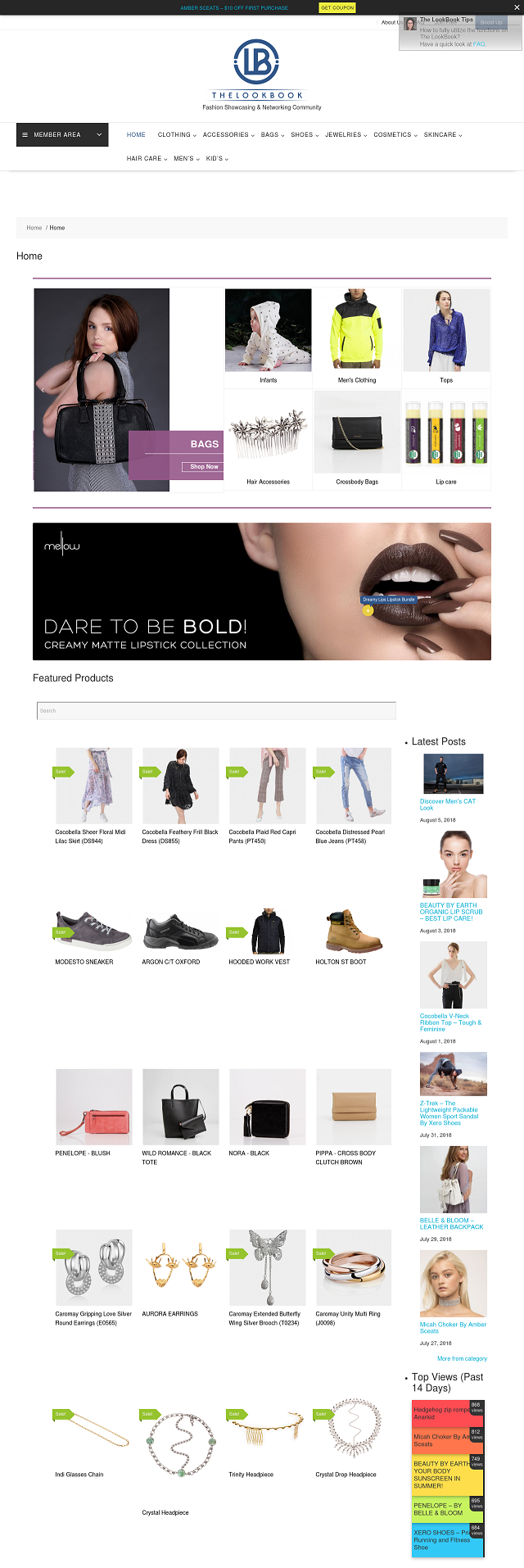 upload 20 products to showcase on The LookBook with 2 extra free boost-up posts