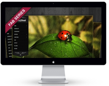 send for you 53 most beautiful WPress Theme 2013  