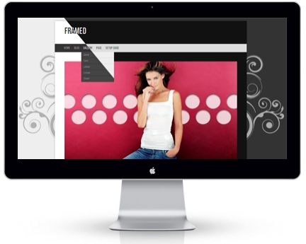 provide 45 high quality wpress theme 