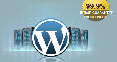 host your Website
