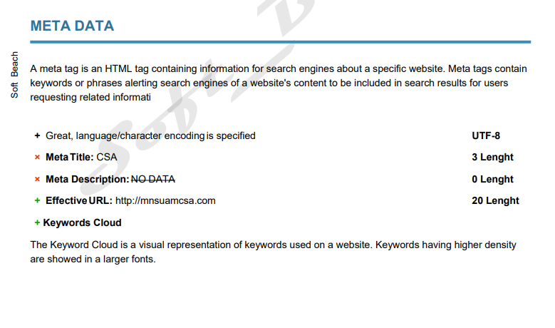 Create A Expert Analysis Website Report