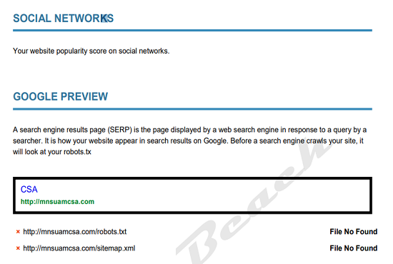 Get 1 Expert Analysis Report of problems inside the website.