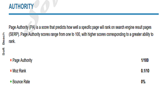 Get 1 Expert Analysis Report of problems inside the website.