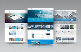 create a professional website in 10 to 15 days