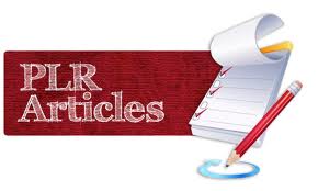 Give You Give you 9000 PLR Articles