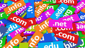 Domain Name registrations/ website name