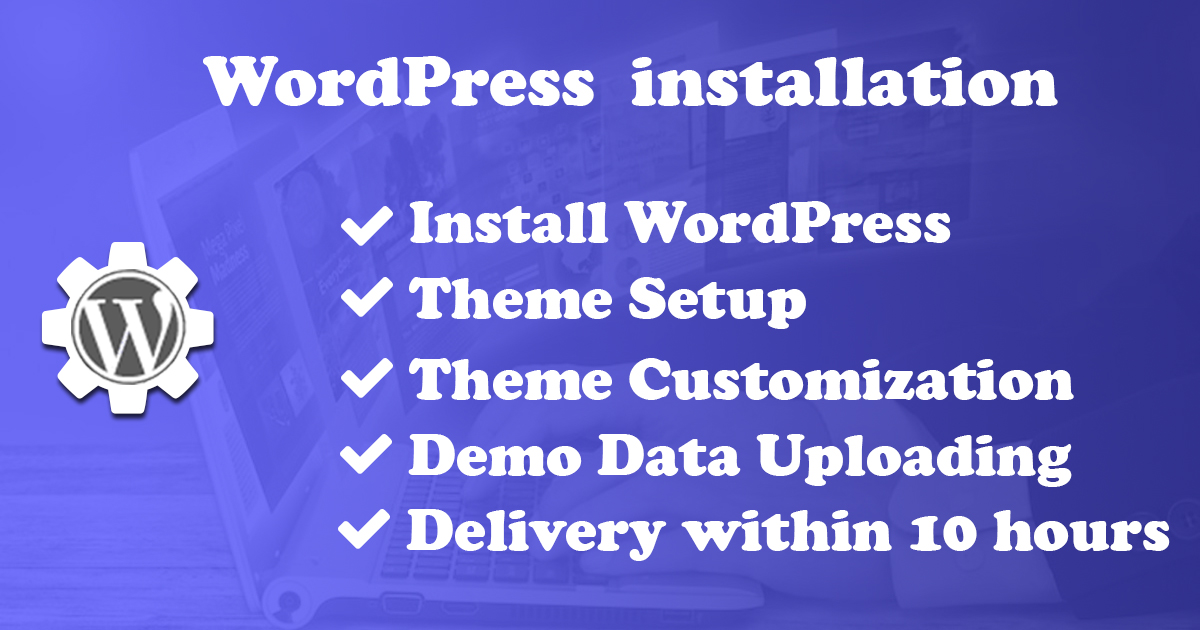 I will do WordPress installation, theme setup, plugin install, basic seo