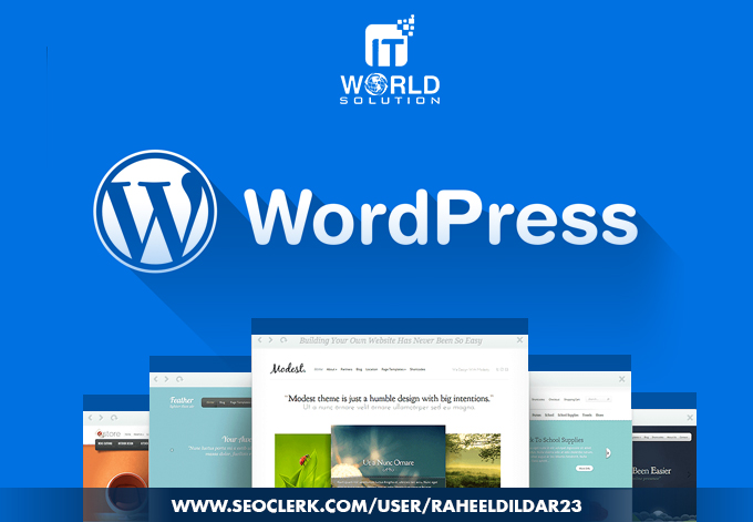 Build A Professional And Responsive Wordpress Website