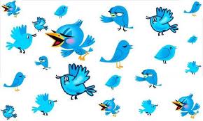 I can provide you with ★10,000★ twitter followers 