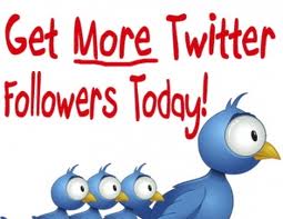 give you 300 REAL TWITTER Followers Daily