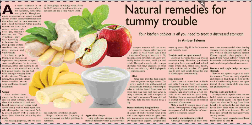 Will write SEO Optimized Content for Your Web