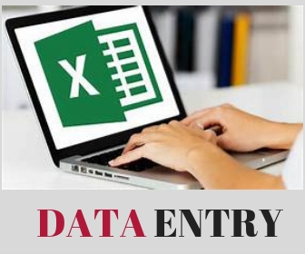 I am working of data entry of any company, school etc.