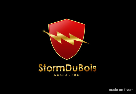create 2 Professional high quality logo designs in any file type jpg psd eps...!!!!!