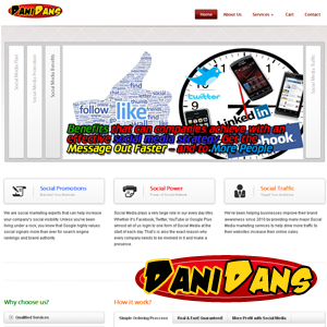 build professional turnkey social media business website