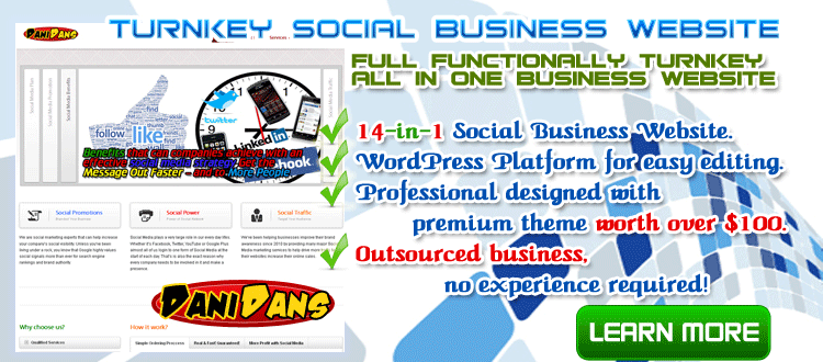 build professional turnkey social media business website