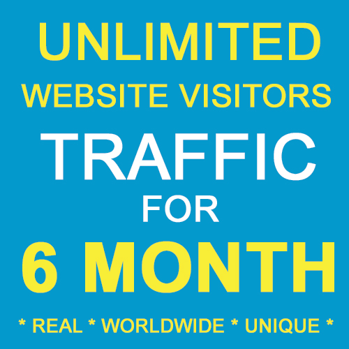 SIX Month (06 Month) Unique Traffics for Website and ALEXA RANKING IMPROVEMENT
