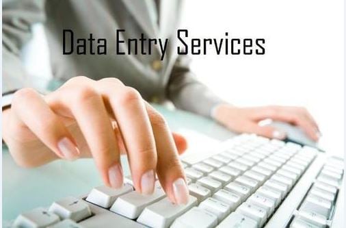 Data Entry Work 500 Entry Service