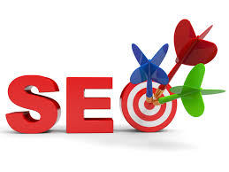 100 FRENCH VISITOR PER DAY  /  REAL VISITOR