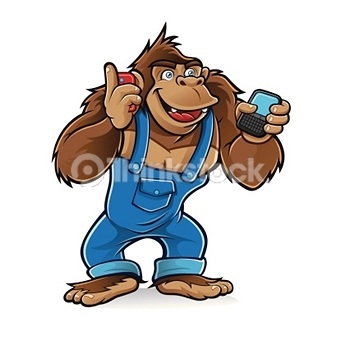 provide an entire collection of 19,000 PLR articles