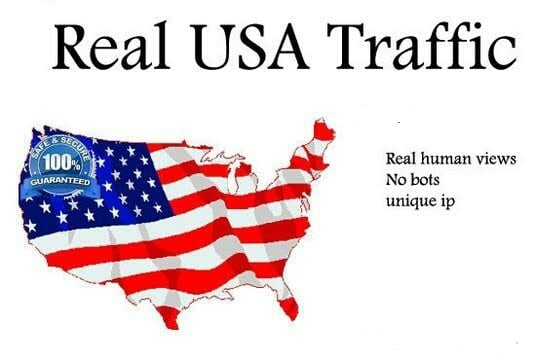 100000+ High Quality USA Human Traffic/Visitors for y...