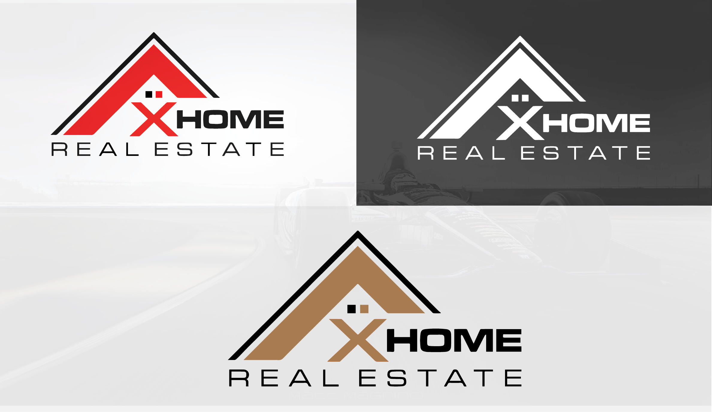  design a professional logo for your brand