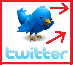 give you 100 REAL human Twitter followers within 24 hours