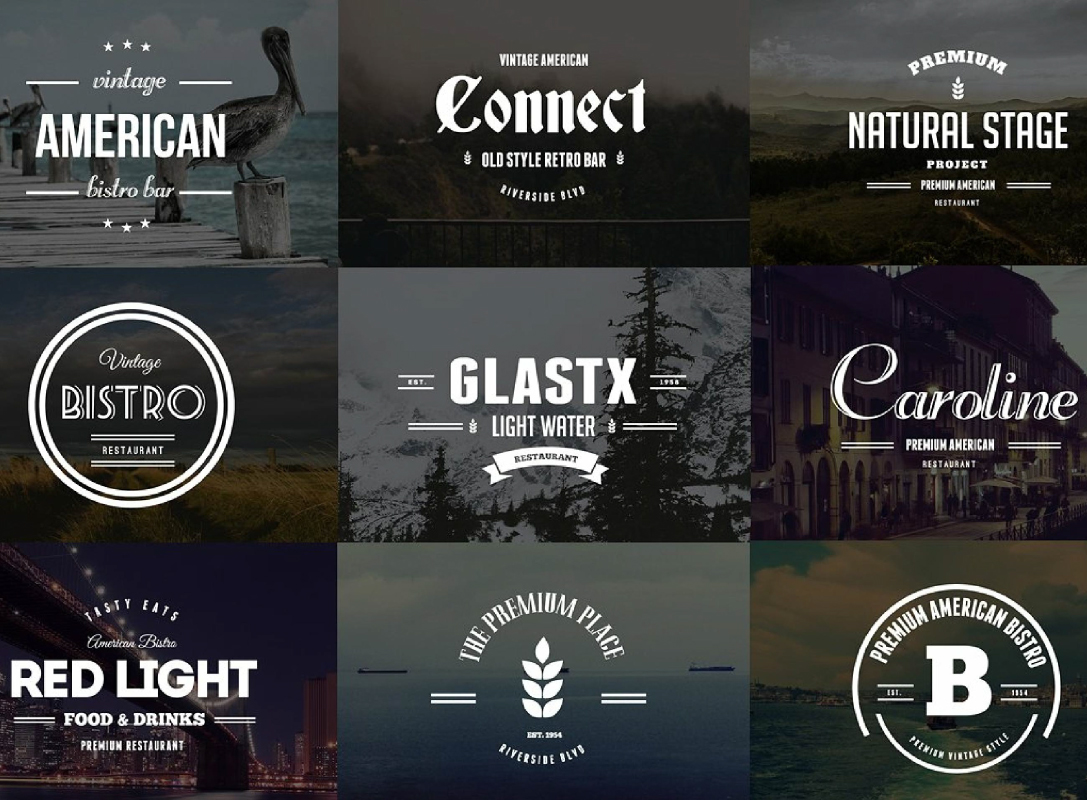 design professional business logo design