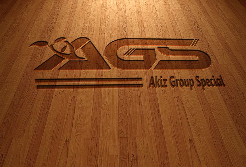 design a professional logo within 