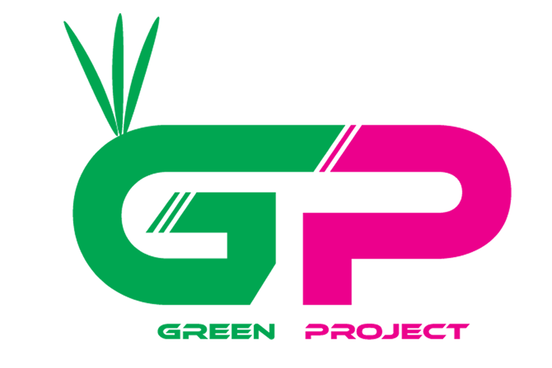 design a professional logo within 