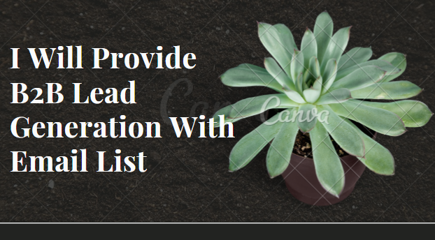 Collect B2B Lead Generation, Data Entry With Email List