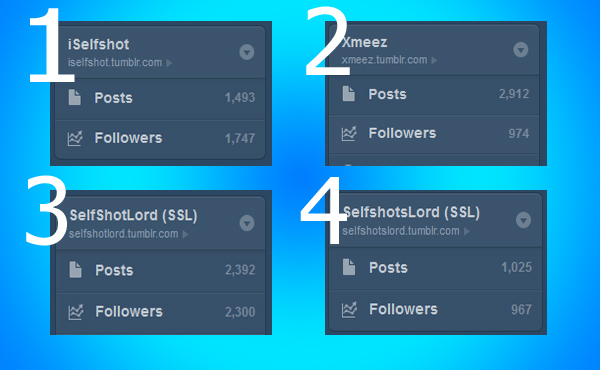 post 10 posts for you on 4 PR1 tumblr adult blogs