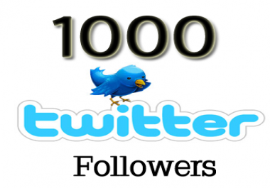 add 1000 Twitter Followers to your profile within 24 hours