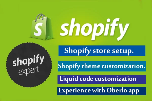 fix shopify errors in 24 hours