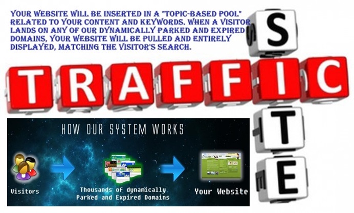 drive UNLIMITED genuine real traffic [visits views hits] to your website for one month