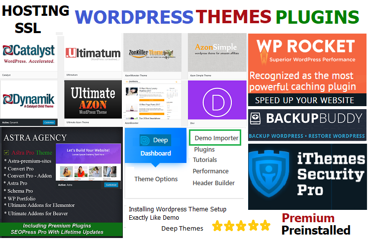 Shared Hosting With WordPress Preinstalled Themes And Plugins Starting