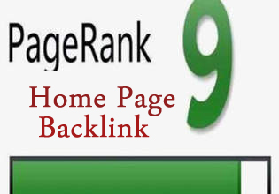 give you a homepage link on my PR9 site as a guest post or blogroll link 
