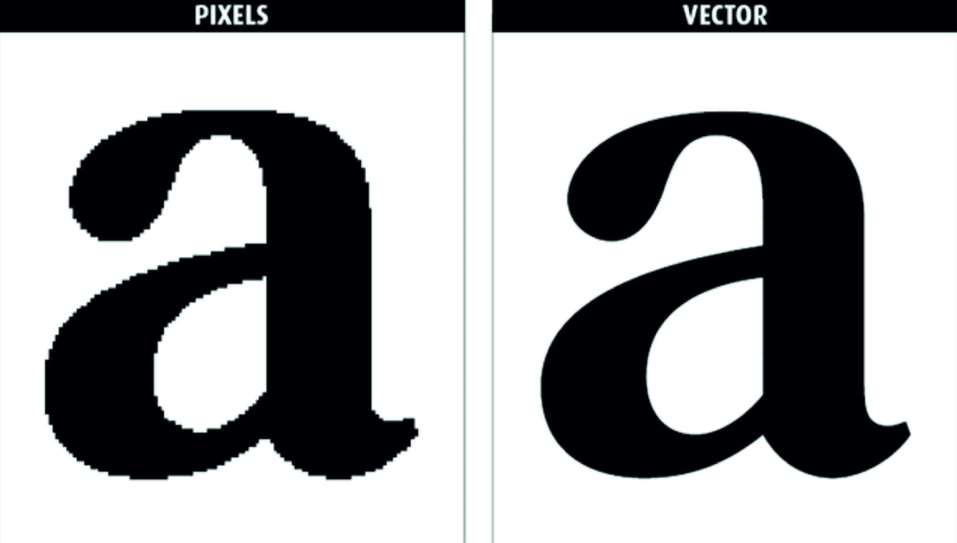 recreate your logo or image to vector professionally