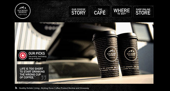 fantastic and professional landing page