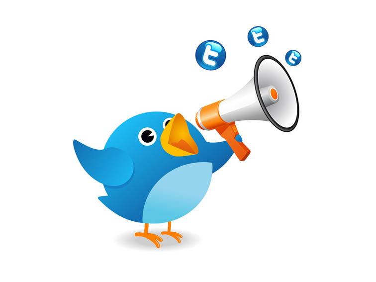 tweet whatever you want to my 2.9 million follower