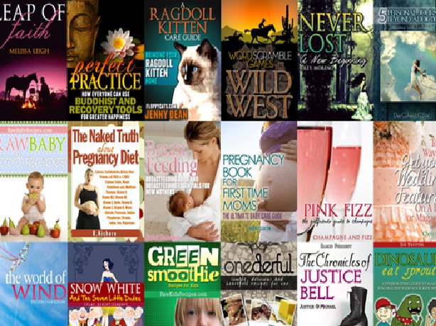 design a professional and unique eBook cover or Kindle cover for