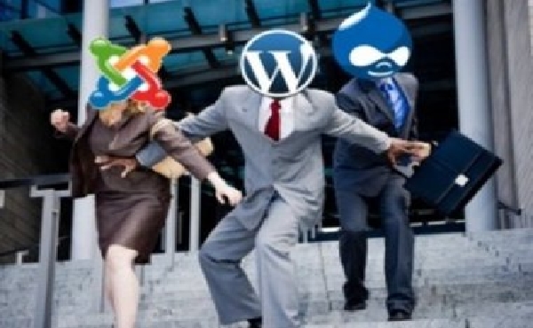 install and setup Wordpress or Joomla or Drupal in your hosting only