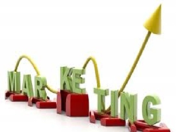 give You fresh 2500 Network Marketing Mlm Contact leads that are Fresh Targeted And Authentic in the mlm niech