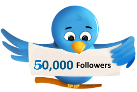 give 50,000 twitter followers no password