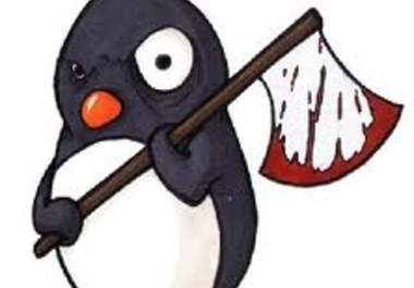  give you my google Penguin poison to recover your website from Penguin penalty  
