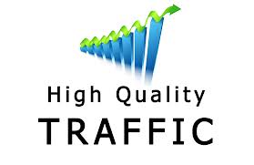 send 1000 real targeted USA and all world visitors to your website,business