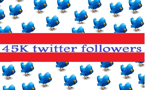 add 45000 guaranteed twitter followers to your twitter account in less than 24 hours even without your password