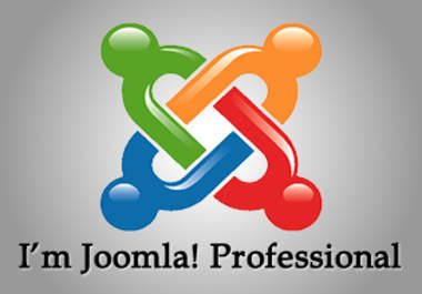 help you to create professional Joomla website and solve your problems