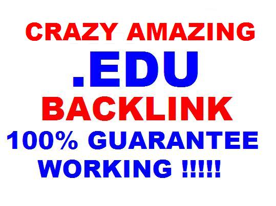 create 1080 .EDU Guarantee Permanent Live Forever Backlink for Boost Your Google Serp Rangking Website in 24hour