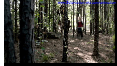 CREATE and HOST, moving images gif format from video